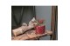 Tillandsia arrangement Tillandsia diamond red pot 1 pp 