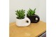 Succulenten TRULY succulent, Penguin pot 1 pp 
