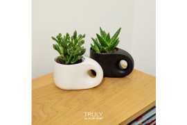 Succulenten TRULY succulent, Penguin pot 1 pp