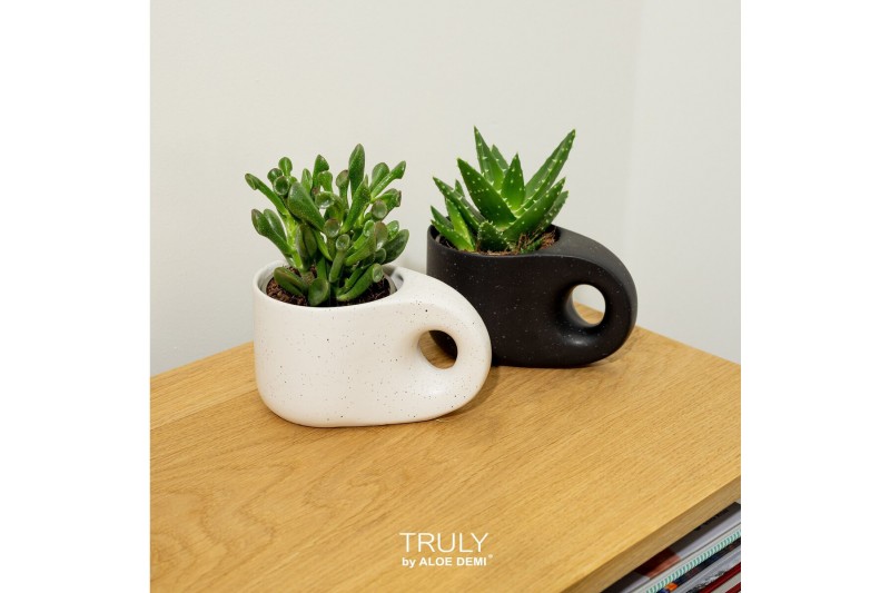 Succulenten TRULY succulent, Penguin pot 1 pp 