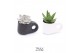 Succulenten TRULY succulent, Penguin pot 1 pp 
