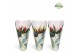 Vriesea multiflora mix 2 soorten Jungle krafthoes 
