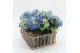 Arrangementen hydrangea KHCR-2515B Hydrangea creatie 3 pp 