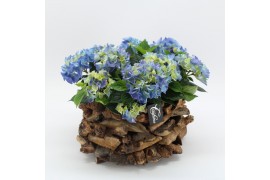 Arrangementen hydrangea KHCR-2517B Hydrangea creatie 3 pp