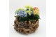 Arrangementen hydrangea KHCR-2517M Hydrangea creatie 3 pp 