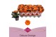 Kalanchoe perfecta orange Kalanchoe Double Deluxe Orange stadium 1 1 p 