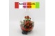 Arrangementen kamerplanten BACR-2505M Basic fundamentals terrarium 3 p 