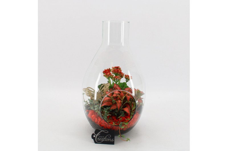 Arrangementen kamerplanten BACR-2505R Basic fundamentals terrarium 3 p Arrangementen kamerplanten BACR-2505R Basic fundamentals terrarium 3 p