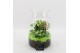 Arrangementen kamerplanten BACR-2506GR Basic fundamentals terrarium 2  