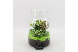 Arrangementen kamerplanten BACR-2506GR Basic fundamentals terrarium 2 