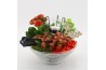 Arrangementen kamerplanten BACR-2503R Basic fundamentals 3 pp