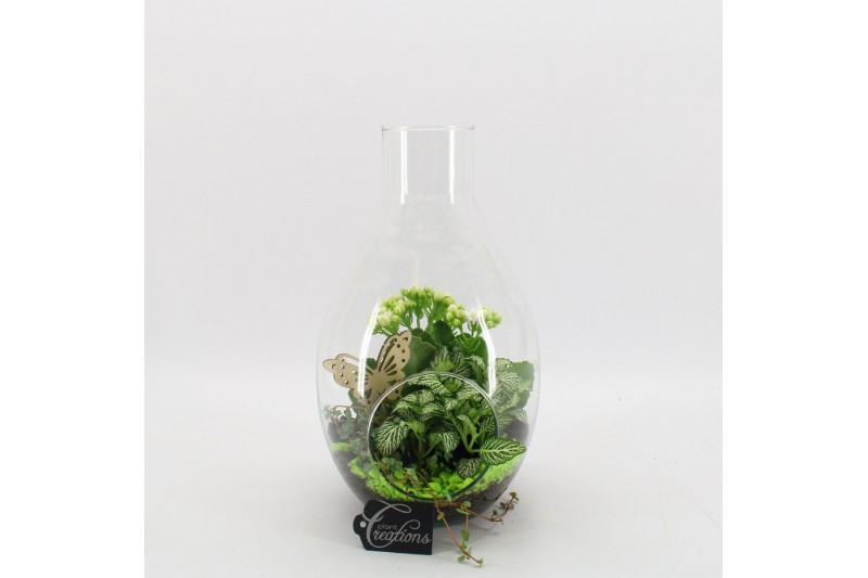 Arrangementen kamerplanten BACR-2505GR Basic fundamentals terrarium 3  