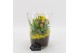 Arrangementen kamerplanten BACR-2504G Basic fundamentals 2 pp 
