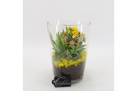 Arrangementen kamerplanten BACR-2504G Basic fundamentals 2 pp