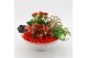 Arrangementen kamerplanten BACR-2501R Basic fundamentals 3 pp 
