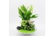 Arrangementen kamerplanten BACR-2502GR Basic fundamentals 3 pp 