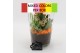Arrangementen kamerplanten BACR-2504M Basic fundamentals 2 pp 