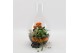 Arrangementen kamerplanten BACR-2505OR Basic fundamentals terrarium 3  