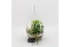 Arrangementen kamerplanten BACR-2505W Basic fundamentals terrarium 3 p 