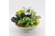 Arrangementen kamerplanten BACR-2503G Basic fundamentals 3 pp 