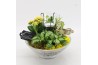 Arrangementen kamerplanten BACR-2503G Basic fundamentals 3 pp