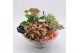 Arrangementen kamerplanten BACR-2503RZ Basic fundamentals 3 pp 
