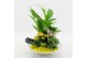 Arrangementen kamerplanten BACR-2502G Basic fundamentals 3 pp 