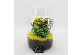 Arrangementen kamerplanten BACR-2506G Basic fundamentals terrarium 2 p