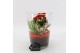 Arrangementen kamerplanten BACR-2504R Basic fundamentals 2 pp 