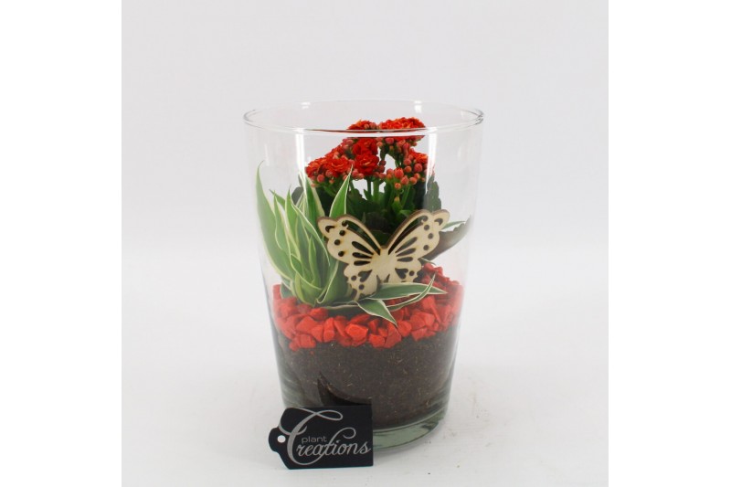 Arrangementen kamerplanten BACR-2504R Basic fundamentals 2 pp 