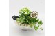 Arrangementen kamerplanten BACR-2501W Basic fundamentals 3 pp 