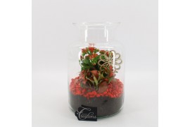 Arrangementen kamerplanten BACR-2506R Basic fundamentals terrarium 2 p