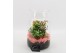 Arrangementen kamerplanten BACR-2506RZ Basic fundamentals terrarium 2  