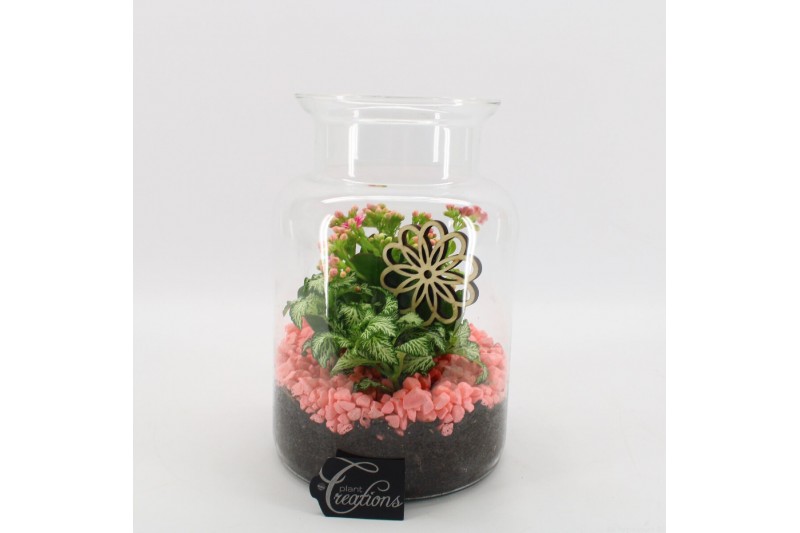 Arrangementen kamerplanten BACR-2506RZ Basic fundamentals terrarium 2 Arrangementen kamerplanten BACR-2506RZ Basic fundamentals terrarium 2