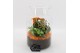 Arrangementen kamerplanten BACR-2506OR Basic fundamentals terrarium 2  