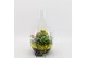 Arrangementen kamerplanten BACR-2505G Basic fundamentals terrarium 3 p 
