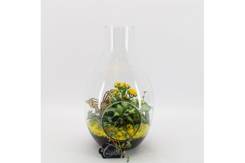 Arrangementen kamerplanten BACR-2505G Basic fundamentals terrarium 3 p Arrangementen kamerplanten BACR-2505G Basic fundamentals terrarium 3 p