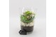 Arrangementen kamerplanten BACR-2504W Basic fundamentals 2 pp 