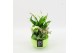 Arrangementen kamerplanten BACR-2507GR Basic fundamentals 3 pp 