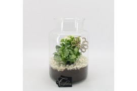 Arrangementen kamerplanten BACR-2506W Basic fundamentals terrarium 2 p