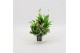 Arrangementen kamerplanten BACR-2507W Basic fundamentals 3 pp 