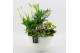 Arrangementen kamerplanten BACR-2511G Basic fundamentals 4 pp 