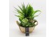 Arrangementen kamerplanten BACR-2519W Basic fundamentals 5 pp 