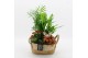 Arrangementen kamerplanten BACR-2518R Basic fundamentals 4 pp 