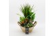Arrangementen kamerplanten BACR-2519OR Basic fundamentals 5 pp 
