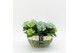 Arrangementen hydrangea KHCR-2512B Hydrangea creatie 2 pp 