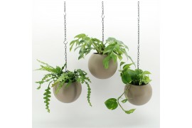 Arrangementen kamerplanten Globee Indoor Green Mix 104 1 pp