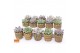 Echeveria mix SuPure® in Havana pearls 
