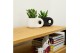 Succulenten TRULY succulent, Penguin pot White 1 pp 