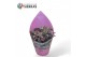 Kalanchoe daigremontiana Sierras® - Kalanchoe Daigremontiana Pink 1 pp 